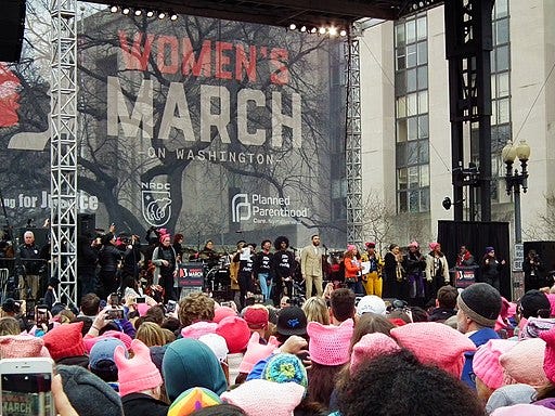 Women's March, Washington DC, 2017; S Pakhrin from DC, USA, CC BY 2.0 , via Wikimedia Commons