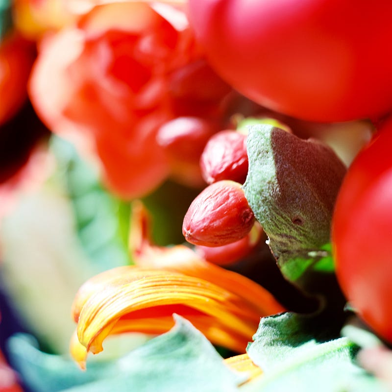 A colour photograph depicting a close up still life of berries within a bouquet of flowers, with predominantly warm colours.